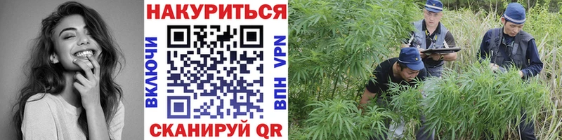 Шишки марихуана сатива сколько стоит Трубчевск